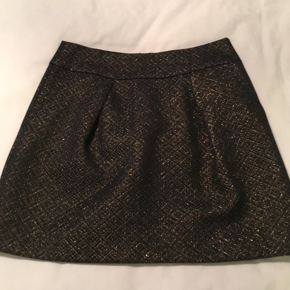 Ann Taylor Loft Skirt 8 Petite NWOT